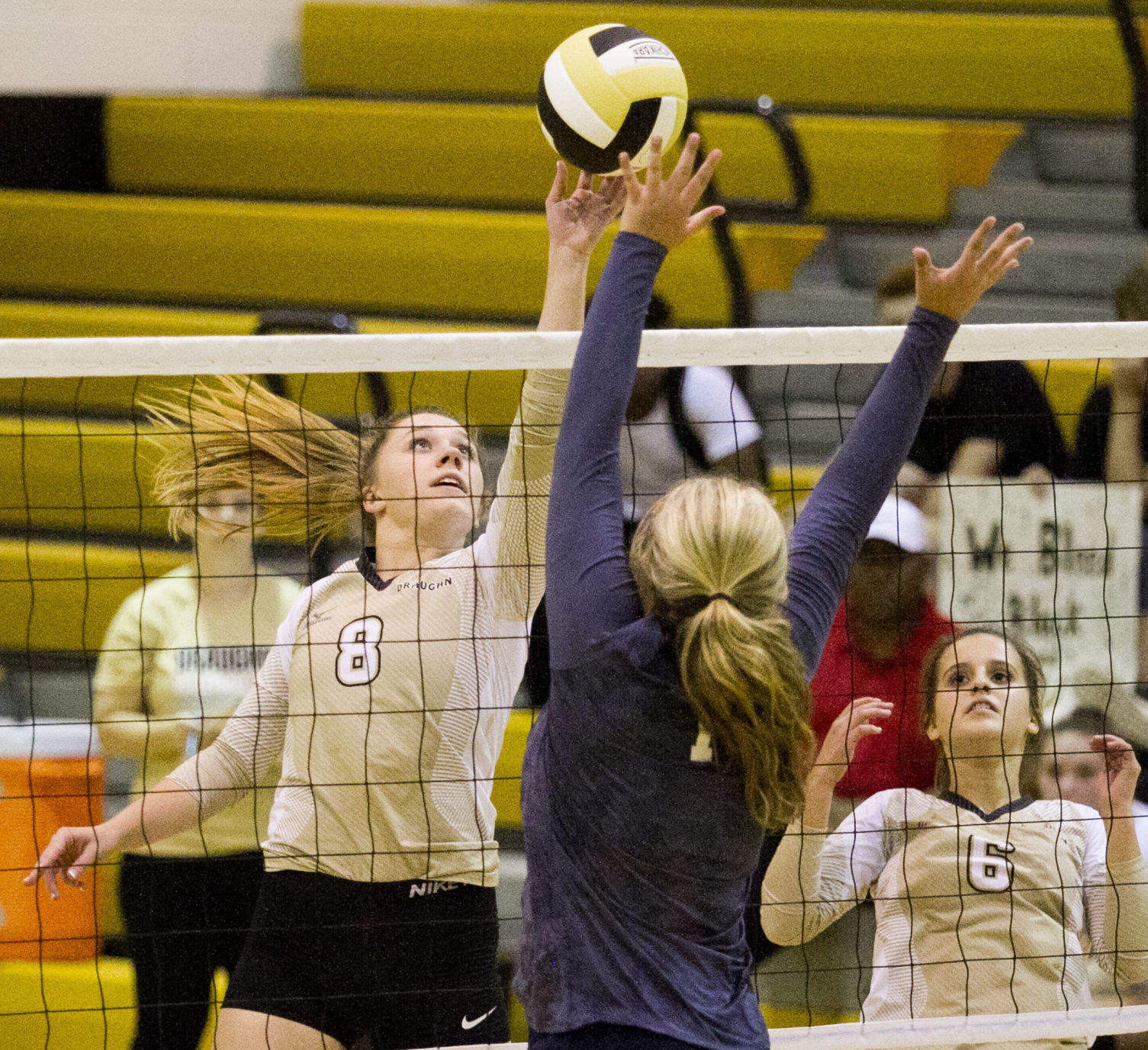 Vball 8.jpg